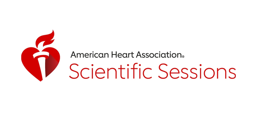 Transformer Models vs. Convolutional Neural Networks to Detect Structural Heart Murmurs